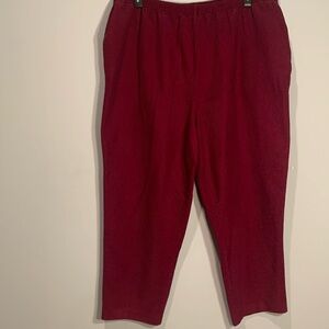 Southern Lady 2X corduroy wine pants elastic waist 26 inch inseam